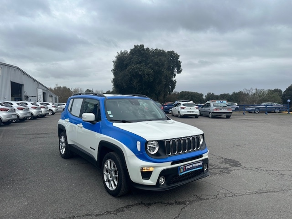 Renegade 1.6 MULTIJET 120CH LONGITUDE BUSINESS UTILITAIRE 2019 occasion 16400 Puymoyen