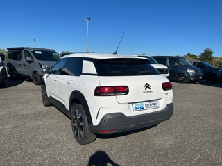 C4 cactus PURETECH 110CH S&S FEEL BUSINESS E6.D 2019 occasion 31670 Lab&egrave;ge