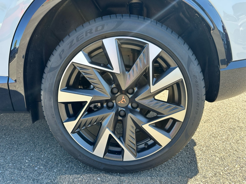 Formentor 2.0 TDI 150CH V DSG7 2025 occasion 82370 Campsas