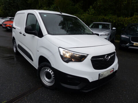 Combo VU L1H1 1000KG 1.6 75CH 2019 occasion 77144 Montévrain