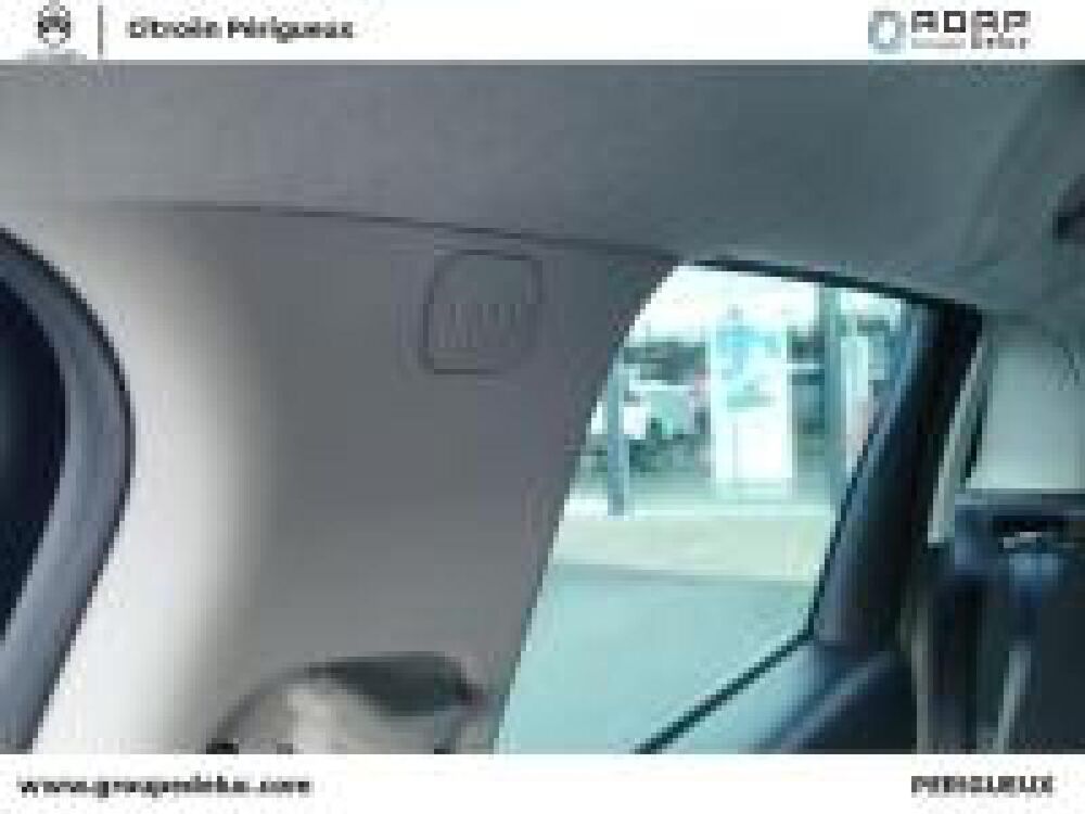 C3 Aircross BlueHDi 110ch S&S Shine Business 2021 occasion 24750 Tr&eacute;lissac
