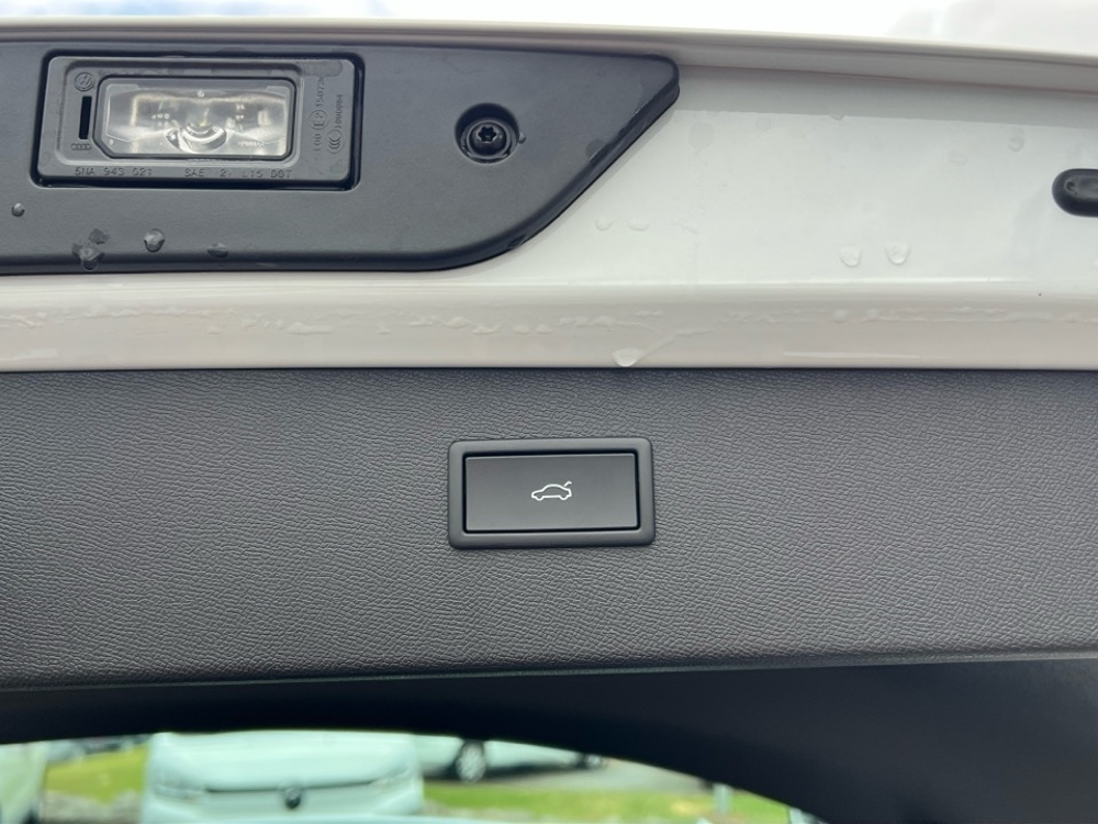 Formentor 2.0 TDI 150CH V DSG7 2026 occasion 31670 Lab&egrave;ge