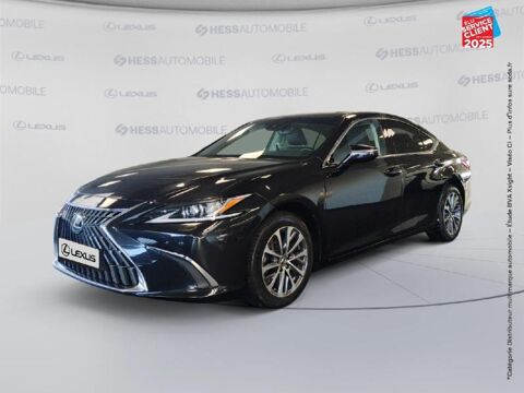 Lexus ES 300h Business MY25 2024 occasion Souffelweyersheim 67460