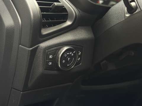 Ecosport 1.0 ECOBOOST 125CH ST-LINE 2019 occasion 31000 Toulouse