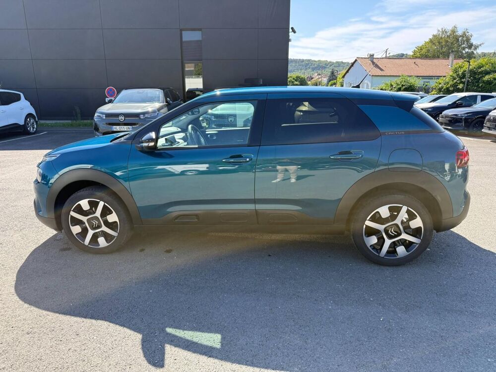 C4 cactus PureTech 110ch S&S Shine E6.d 2019 occasion 24750 Tr&eacute;lissac