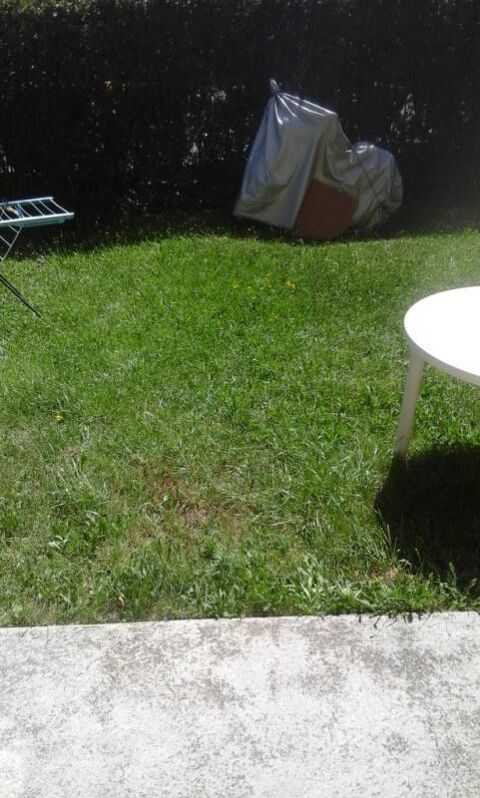  Appartement � louer 1 pi�ce 27 m�