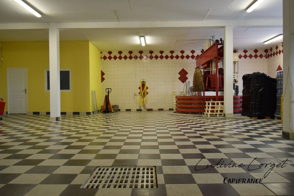   A vendre Local professionnel loué /bureau proche de EPERNAY (51)À vendre – Pressoir - cuverie -stockage -bureaux – 423m2 
