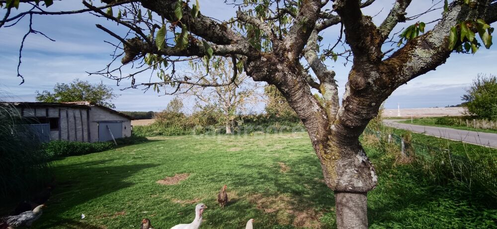 Vente Terrain Terrain constructible de 1600m2 à St Gervais en Valliere Beaune
