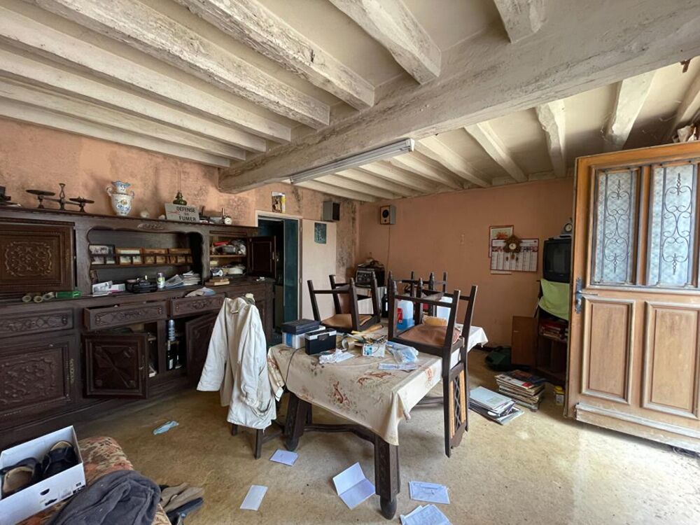 Vente Maison Maison Chatillon Coligny Chatillon coligny