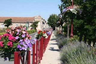  Terrain  vendre 