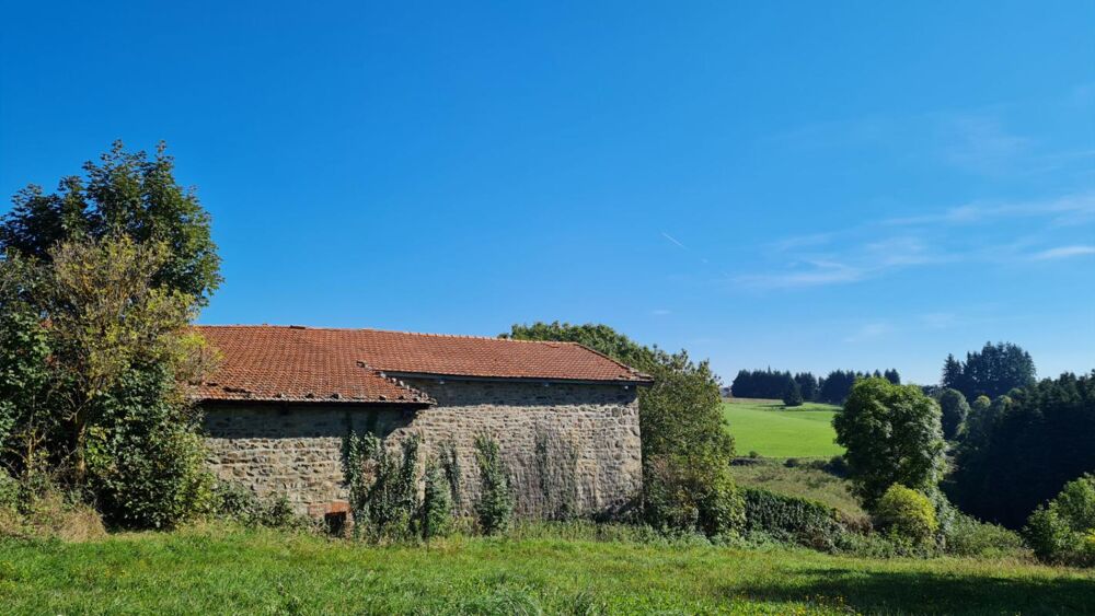 Vente Maison *** VENDU *** EXCLUSIVITE Saint Romain les Atheux 42660 maison type corps de ferme en L à rénover entièrement sur 1280m² de terr Saint romain les atheux