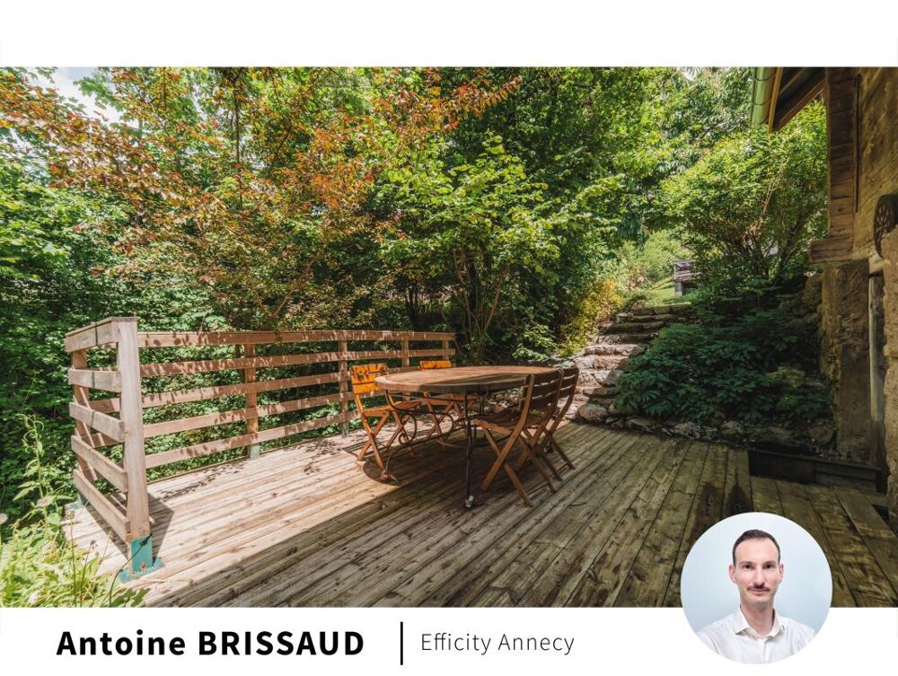 à vendre  Appartement Bluffy (74290)