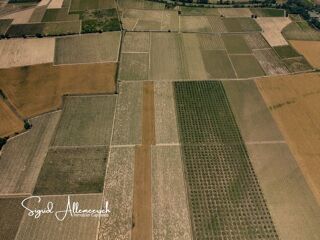  Propri�t�/ch�teau � vendre 15 + pi�ces 1110 m�