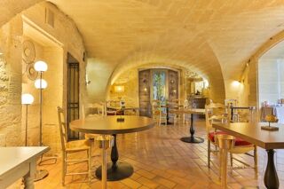  Propri�t�/ch�teau � vendre 15 + pi�ces 800 m�