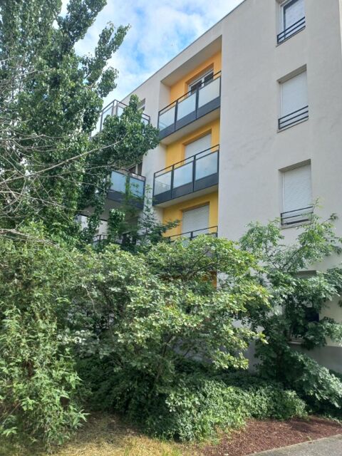  Appartement � louer 3 pi�ces 55 m�