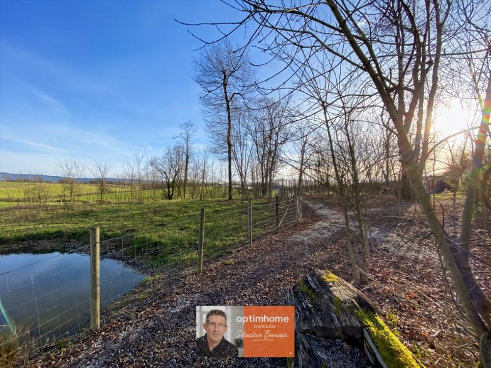 Vente Maison Propriété de caractère sur près de 2 hectares - Calme absolu et sans vis-à-vis Dommartin les cuiseaux