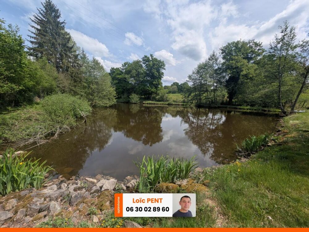Vente Terrain Etang à vendre sur un terrain de 26 033,00 m² LE MAYET DE MONTAGNE (03250) Le mayet de montagne