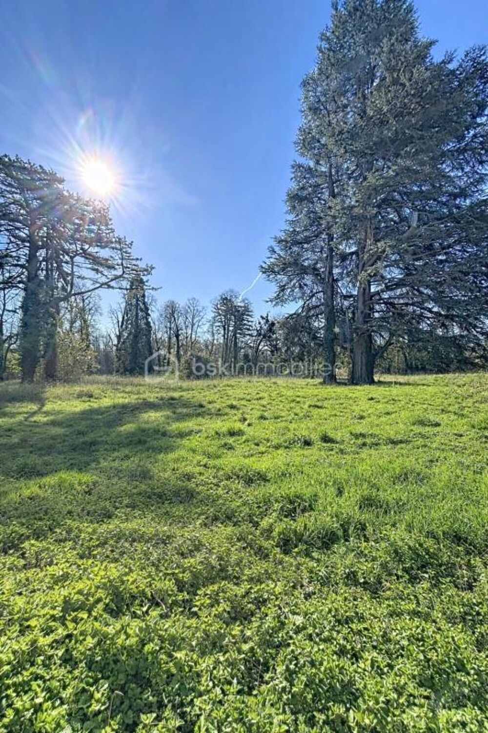 Vente Terrain Terrain à bâtir 588 m² – Essômes-sur-Marne – Viabilisé Essomes sur marne