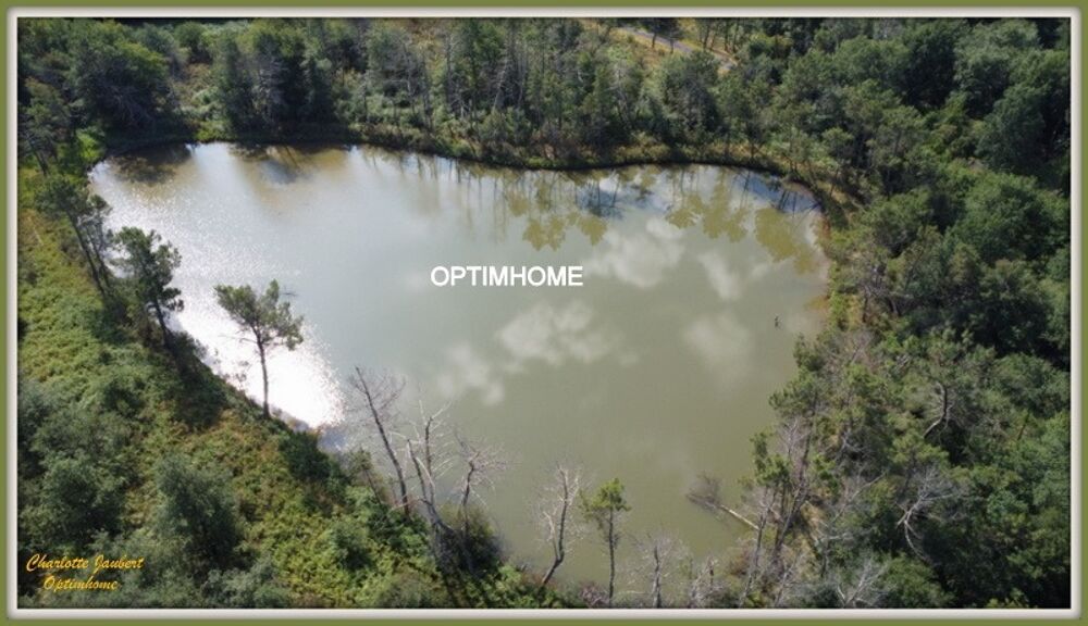 propriété forestière de 53 hectares  Sans voisinage ni nuisances