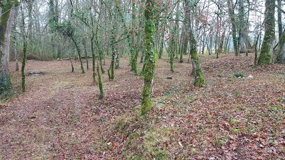Vente Terrain Terrain à vendre de 1 255,00 m² BALADOU (46) Baladou