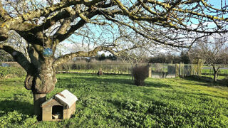  Maison � vendre 4 pi�ces 105 m�