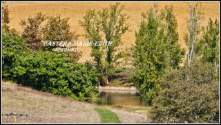  Propri�t�/ch�teau � vendre 7 pi�ces 174 m�