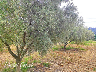  Terrain � vendre 8000 m�