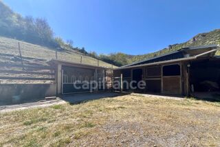  Terrain à vendre 203000 m²