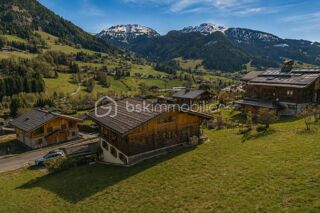  Chalet à vendre 12 pièces 243 m²