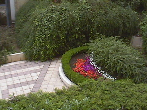  Appartement � louer 1 pi�ce 23 m�