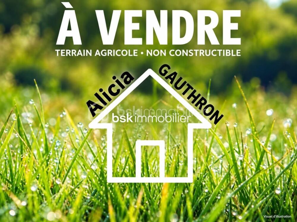 Vente Terrain Terrain non constructible de 6 000m2 Villy le moutier