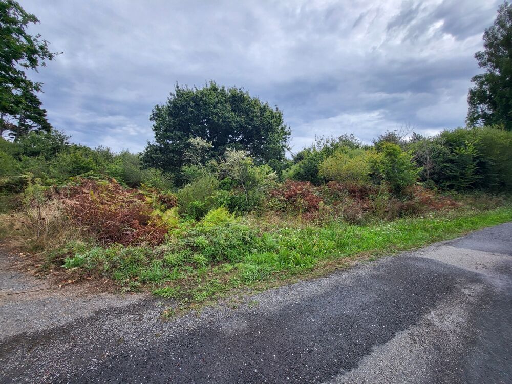 Vente Terrain Terrain non constructible à vendre  CROZON (29) Crozon
