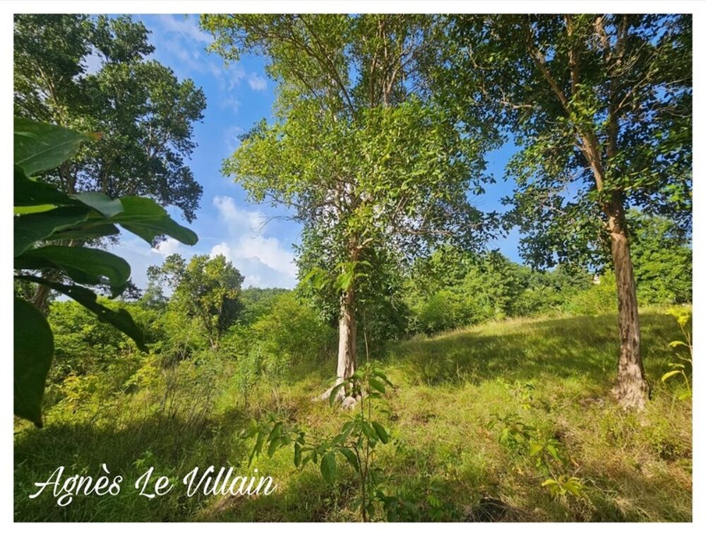 Vente Terrain Terrain 2 983 m2 à Bouillante Bouillante