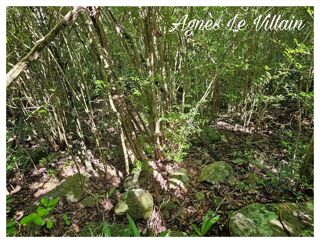  Terrain à vendre 2382 m²