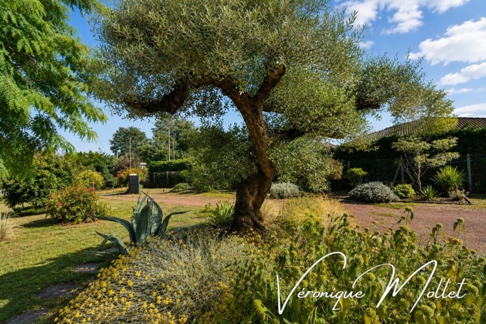 NOUVEAUTÉ À CAMBLANES ET MEYNAC - PISCINE, PARCELLE DE 1780m2 ARBORÉE