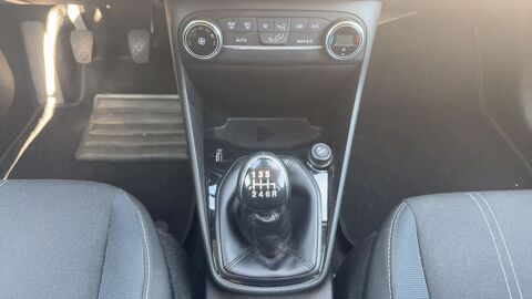 Fiesta 1.0 EcoBoost 100 Trend Business Nav 2018 occasion 76120 Le Grand Quevilly