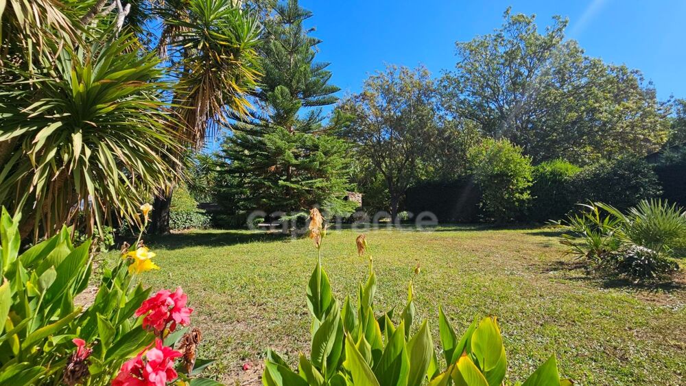 Vente Propriété/Château HYÈRES – PROPRIÉTÉ  SUR PLUS D'1 HECTARE – MAISON PRINCIPALE DE PLAIN-PIED, PISCINE ET ENSEMBLE BÂTI Hyeres