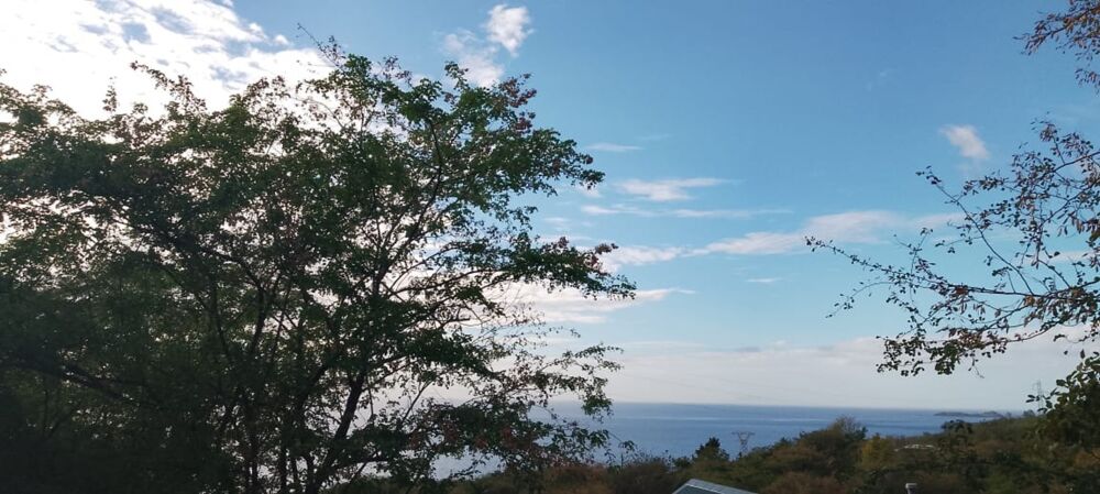 Vente Terrain ? À VENDRE – Terrain de 1 600 m² avec vue mer à Bouillante Bouillante
