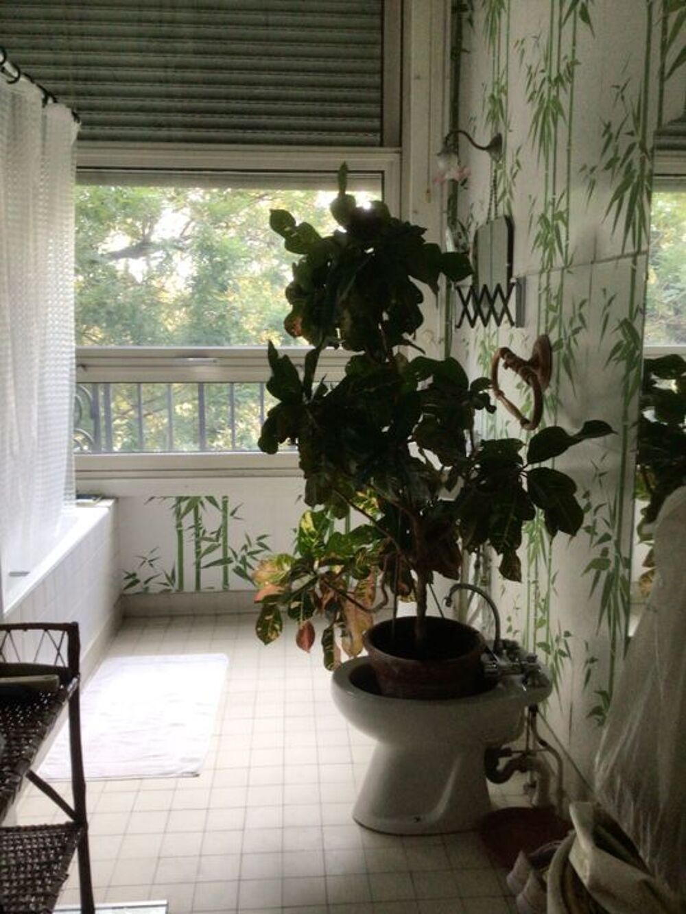 Location Appartement Chambre de 15m2 à louer sur Neuilly-sur-Seine Neuilly sur seine