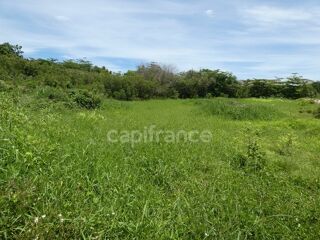 Terrain à vendre 1811 m²