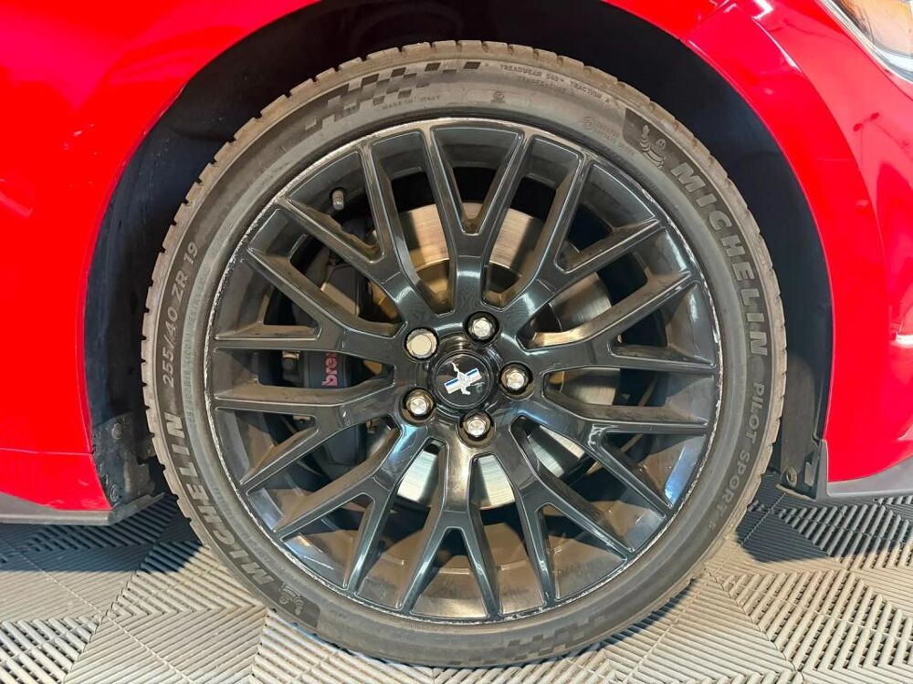 Mustang Fastback V8 5.0 421 GT A 2016 occasion 77250 Moret Loing Et Orvanne
