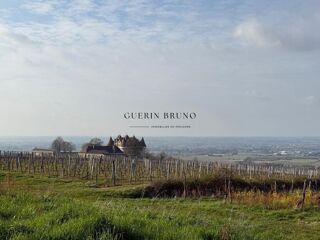  Propri�t�/ch�teau � vendre 110 m�