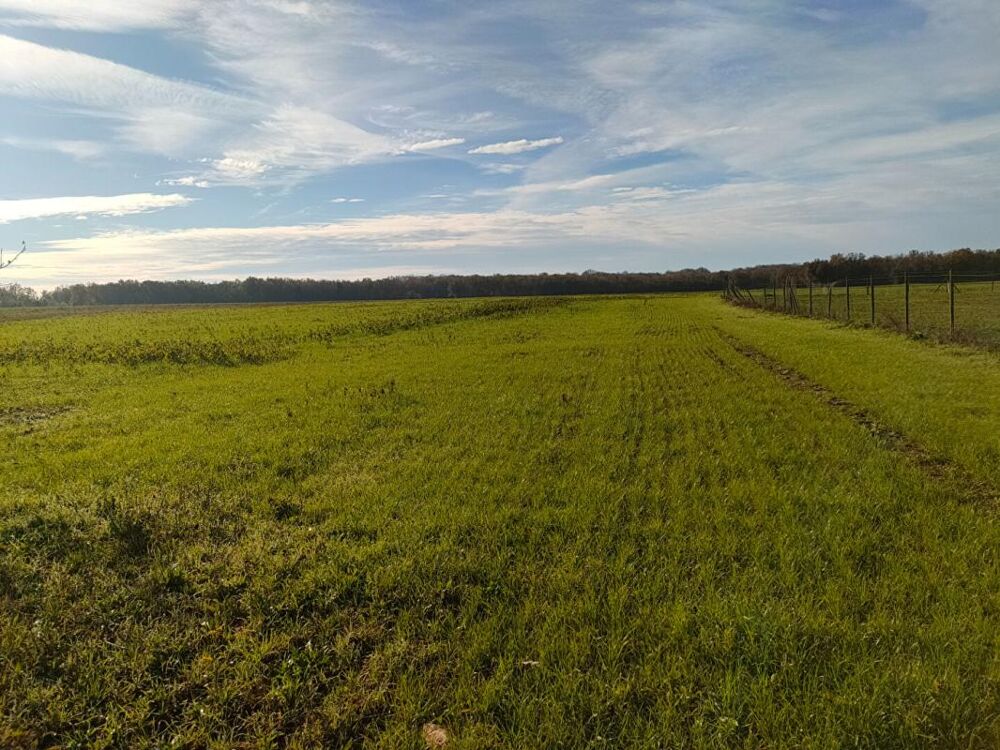 Vente Terrain Terrain Saint Savinien 1298 m2 Saint savinien