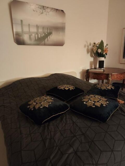  Appartement � louer 1 pi�ce 40 m�