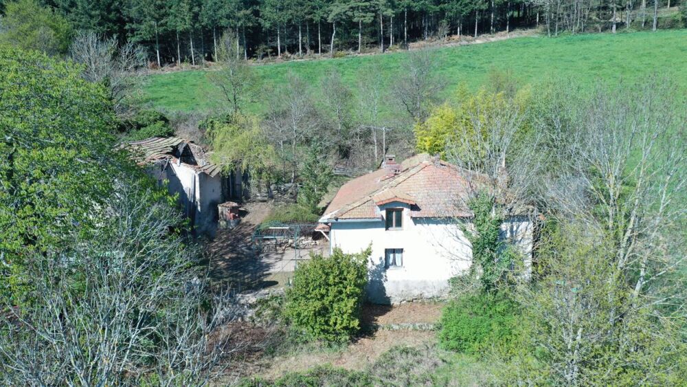 Propriété de caractère sur 2790 m² de terrain