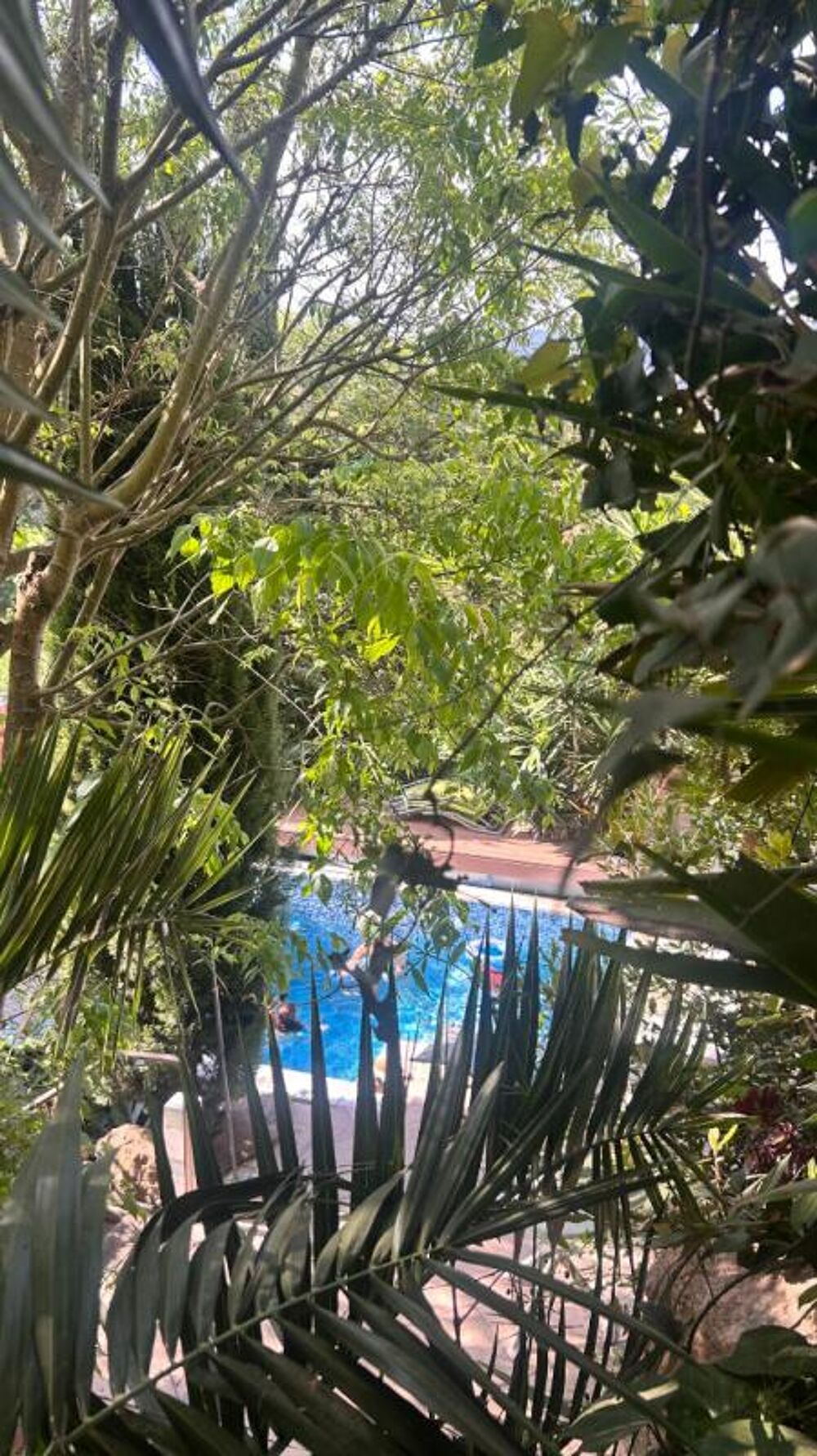 Maison Auribeau Sur Siagne 6 pièce(s) 180 m2