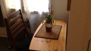  Appartement à louer 1 pièce 15 m²