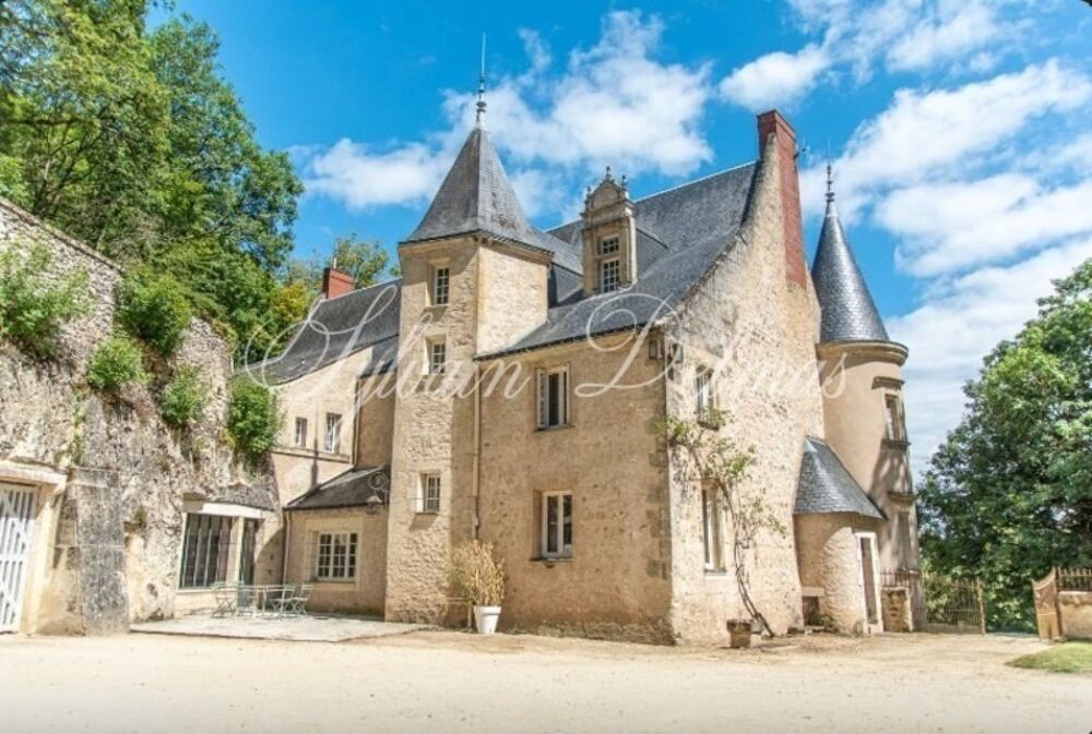 Propriete à vendre 18 pièces proche de TOURS (37)
