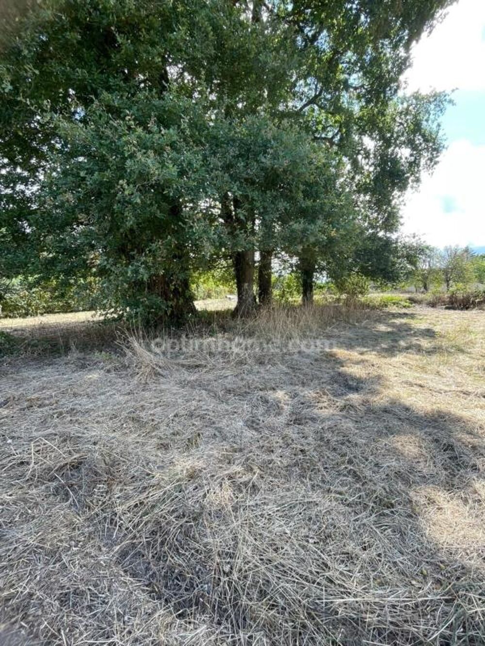 Vente Terrain Belle parcelle arborée de 1 695 m² aux portes des accès 4 voies à Ploërmel Ploermel