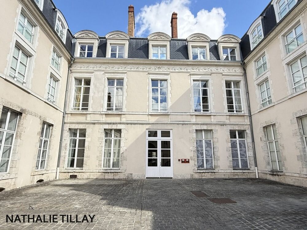 ORLÉANS  APPARTEMENT DEXCEPTION AU SEIN DUN HÔTEL PARTICULIER